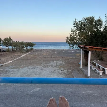 Radiki